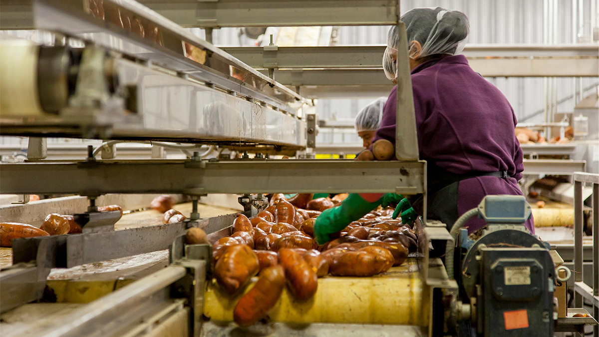 Industrial Process Automation